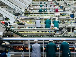 PMI Manufaktur RI Turun, PHK & Inflasi Jadi Sorotan