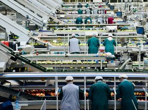 PMI Manufaktur Naik, Menperin Ungkap Industri Perkuat Stok Bahan Baku