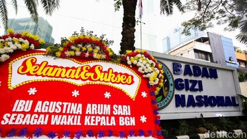 Pagu Anggaran BGN Rp 270 Triliun, DPR Minta Susun Ulang