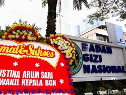 Pagu Anggaran BGN Rp 270 Triliun, DPR Minta Susun Ulang