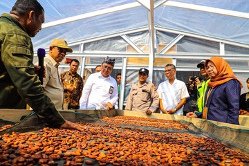 Kemensos Berdayakan Ratusan Petani Kakao Ende