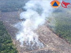 Wilayah Karhutla di Muba yang Terbakar 2 Hari Berhasil Dipadamkan
