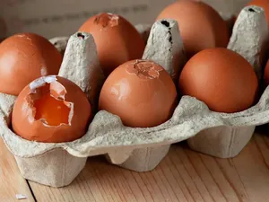 Masih Nekat Makan Telur Retak? Ini Risiko yang Perlu Diwaspadai