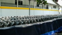 21 Ribu Motor Listrik MBG Sudah Dibayar, Akan Dimanfaatkan Secara Maksimal