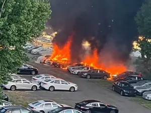 Niat Bersihkan Sampah Pohon Pakai Api, Berujung 20 Mobil Terbakar di Parkiran