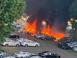 Niat Bersihkan Sampah Pohon Pakai Api, Berujung 20 Mobil Terbakar di Parkiran