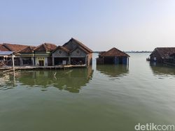 Curhat Warga Sayung Rasakan Rob Makin Meninggi Usai Tol Laut Berdiri