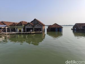 Curhat Warga Sayung Rasakan Rob Makin Meninggi Usai Tol Laut Berdiri