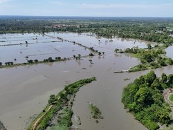 Banjir Rendam 7 Kecamatan di Lutra: 12 Ribu Warga Terdampak-Ratusan Mengungsi