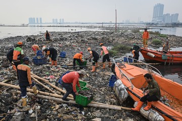 Petugas Bersihkan Hamparan Sampah di Perairan Jakarta