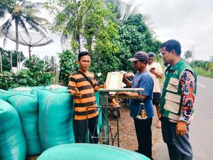 Serapan Gabah Petani Bulog Capai 3 Juta Ton, Sumsel Babel Sokong 99.466 Ton