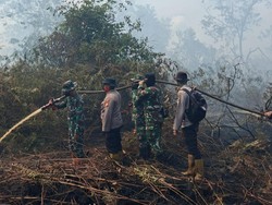 Polisi-TNI Berjibaku Padamkan Karhutla di Bengkalis, Siang Malam Berjaga