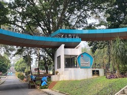 Pelaku Ciuman Sesama Jenis di Kampus PNJ: 1 Mahasiswa PNJ, 1 Bukan