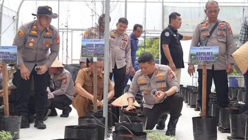 Inovasi Polsek di Pelalawan Sulap Lahan Jadi Green House Melon