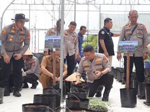 Inovasi Polsek di Pelalawan Sulap Lahan Jadi Green House Melon
