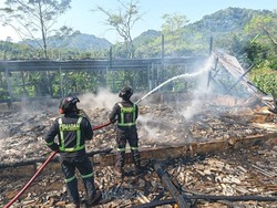 Kandang Ayam Terbakar, 6.500 Ayam Petelur di Kuningan Hangus Terpanggang