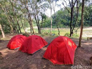 Piknik Seru di Tahura Bunder Gunungkidul, Bisa Tracking Sambil Lihat Rusa