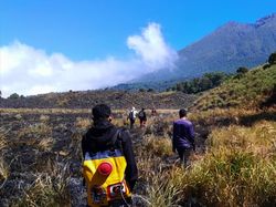 Kebakaran Hanguskan 98 Hektare Savana Propok di TN Gunung Rinjani