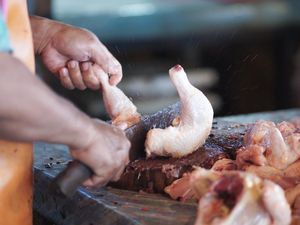 Disentil Prabowo, Begini Hitungan Nutrisi Ayam MBG Jika Dipotong Lebih dari 14