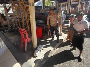 Heboh Bungkusan Dikira Mayat Bayi di Pura, Ternyata Bangkai Kucing