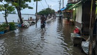250 KK di Kampung Bugis Mataram Terdampak Banjir Rob