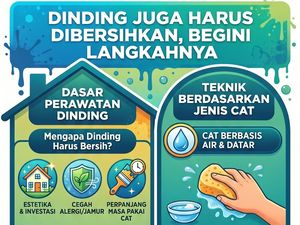 Infografis: Cara Bersihkan Dinding Rumah yang Benar Agar Cat Tidak Rusak