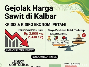 Gejolak Harga Sawit di Kalbar