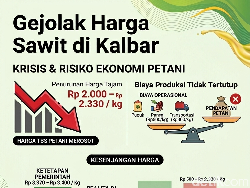 Gejolak Harga Sawit di Kalbar