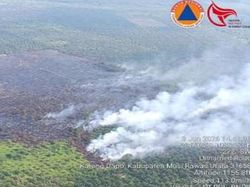3 Hektare Lahan Hutan Produksi di Muratara Terbakar, Pemadaman Dilanjutkan