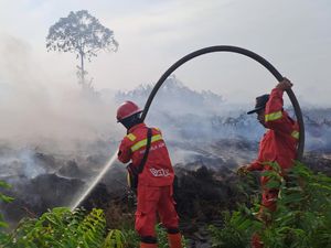 Manggala Agni Berjibaku Tangani Karhutla Rohil Seluas 80 Hektare