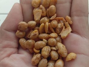 Ortu Siswa di Sukabumi Keluhkan Menu MBG Kacang, SPPG Buka Suara