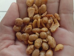 Ortu Siswa di Sukabumi Keluhkan Menu MBG Kacang, SPPG Buka Suara