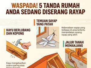 Infografis: 5 Ciri Rumah Lagi Diserang Rayap!