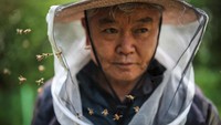 Perubahan Iklim Ancam Peternak Lebah Korea Selatan