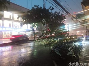 Pohon Tumbang di Jalan Katamso Medan, Kendaraan Tak Bisa Melintas