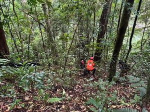 Anjing Pelacak Dilibatkan Cari Pendaki Hilang di Gunung Seulawah
