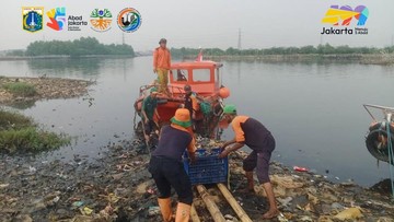 8,8 Ton Sampah Diangkut dari 'Pulau Sampah' Muara Angke Jakut