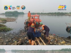 8,8 Ton Sampah Diangkut dari Pulau Sampah Muara Angke Jakut
