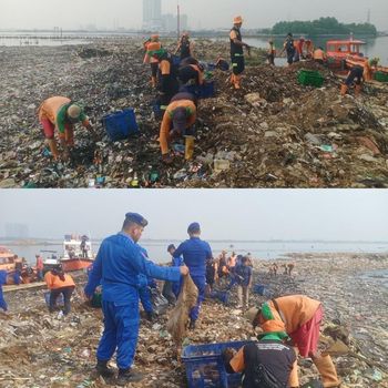 Video hamparan sampah membentuk pulau di pesisir Jakut viral di medsos. Petugas gabungan membersihkan 'pulau sampah' tersebut. (dok DLH DKI)