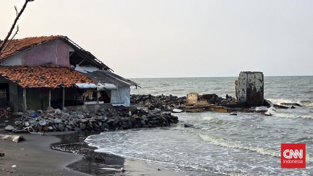 Warga di Desa Cemarajaya, Kabupaten Karawang bertahan dari ancaman abrasi.