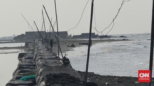 Warga di Desa Cemarajaya, Kabupaten Karawang bertahan dari ancaman abrasi.