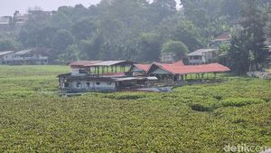 Saat Eceng Gondok Tutupi Sungai Citarum KBB
