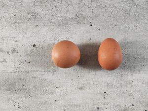 Heboh! Temuan Telur Bulat Sempurna, Kelangkaannya Disebut 1:1 Miliar