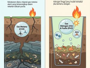 Infografis: Beda Argumen UPN dan UGM soal Pemicu Teror Api di Rumah Fia