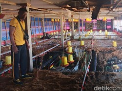 Kandang Ayam di Klungkung Terbakar, 300 DOC Mati Terpanggang