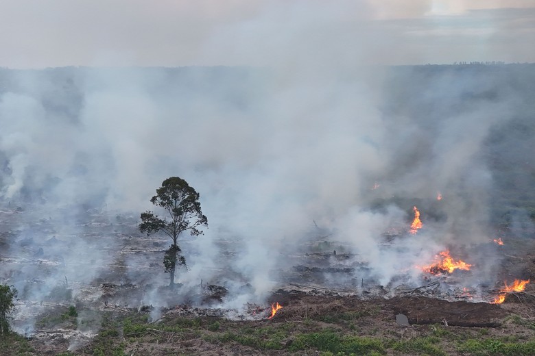 Hari Ke-10 Pemadaman Kebakaran Lahan Gambut di Riau