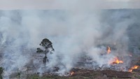 Karhutla di Nagan Raya Meluas, 90 Hektare Lahan Gambut Terbakar