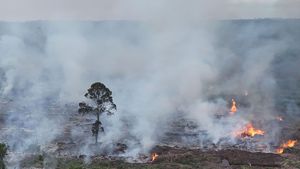 Karhutla di Nagan Raya Meluas, 90 Hektare Lahan Gambut Terbakar