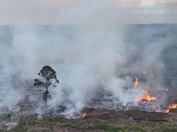 Karhutla di Nagan Raya Meluas, 90 Hektare Lahan Gambut Terbakar