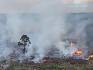 Karhutla di Nagan Raya Meluas, 90 Hektare Lahan Gambut Terbakar